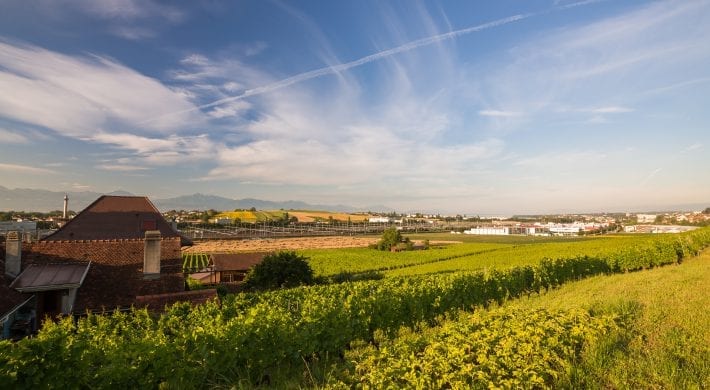 Nature et Biodiversité