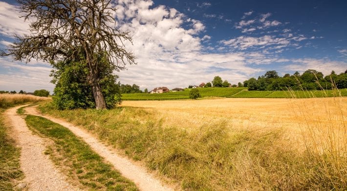 Projet de territoire