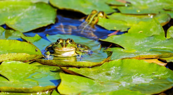 Concours photo