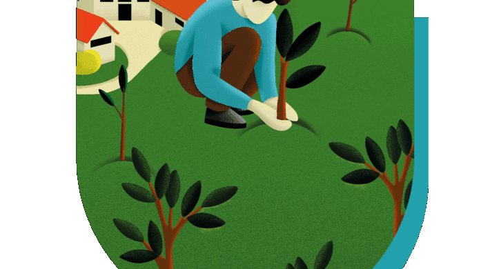 Arborisation – boîte à outils