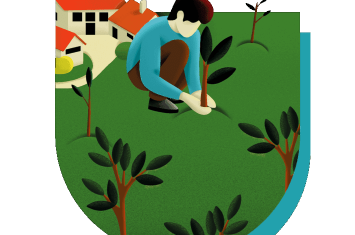 Arborisation – boîte à outils