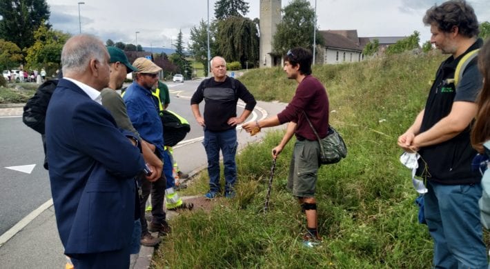 Entretien différencié des espaces verts