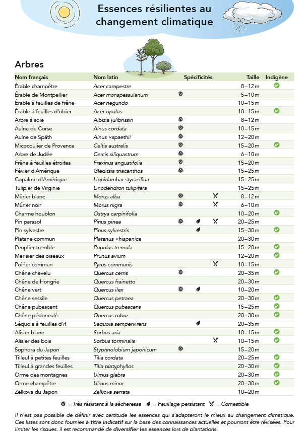 Liste de plantes