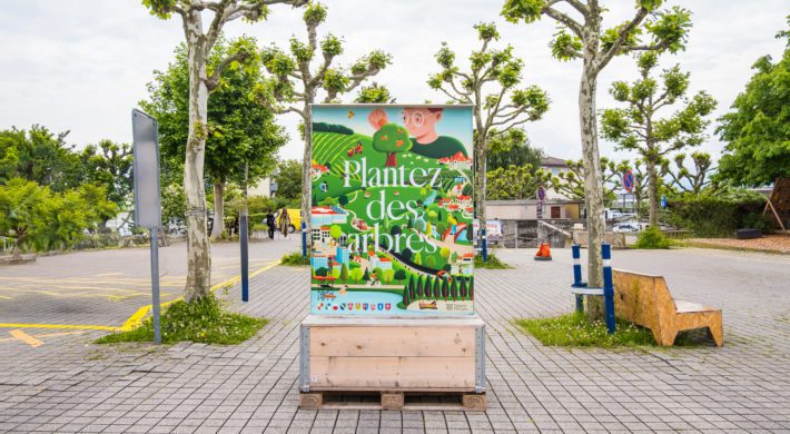 Plantez des arbres – appel à projets
