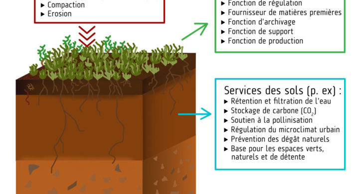 Qualité des sols