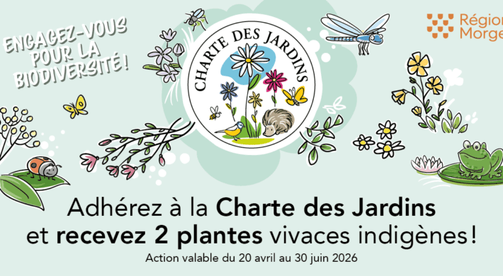 Charte des Jardins – Différents strates végétales au service de la biodiversité