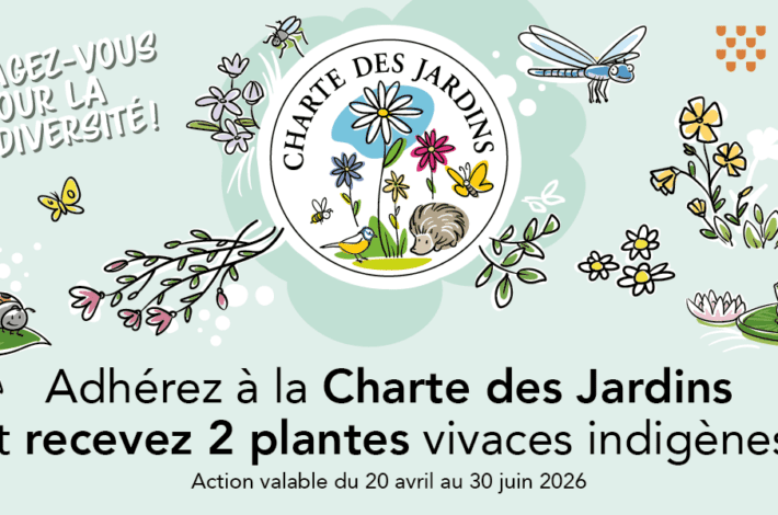 Charte des Jardins – Différents strates végétales au service de la biodiversité